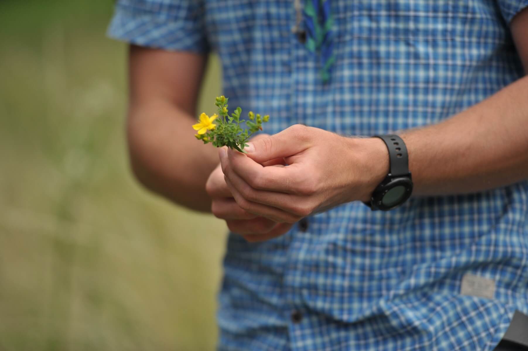 BV_20250801_0328_web