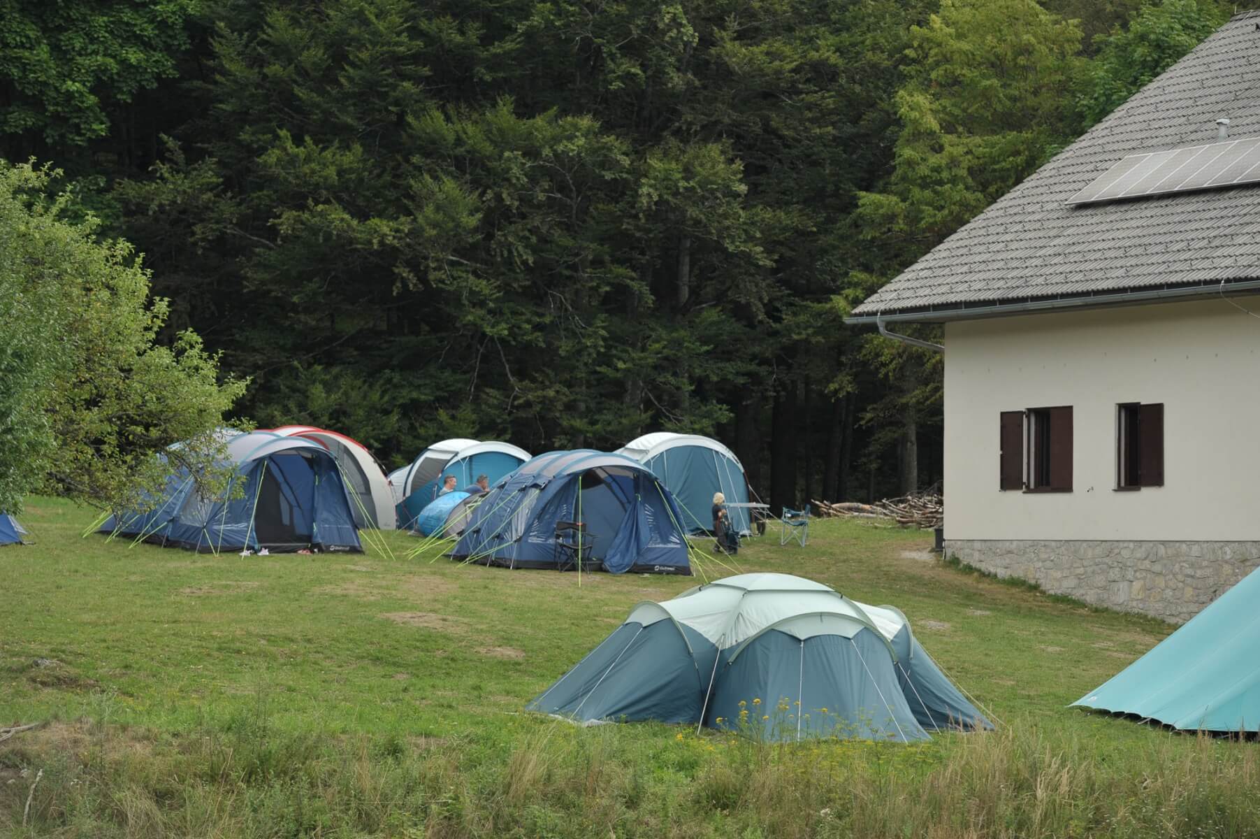 BV_20250801_0354_web