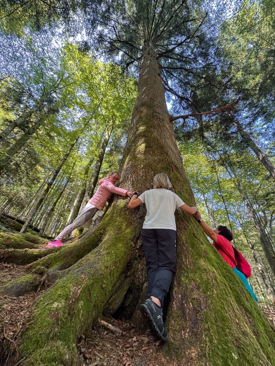 BV_20250802_0010_web