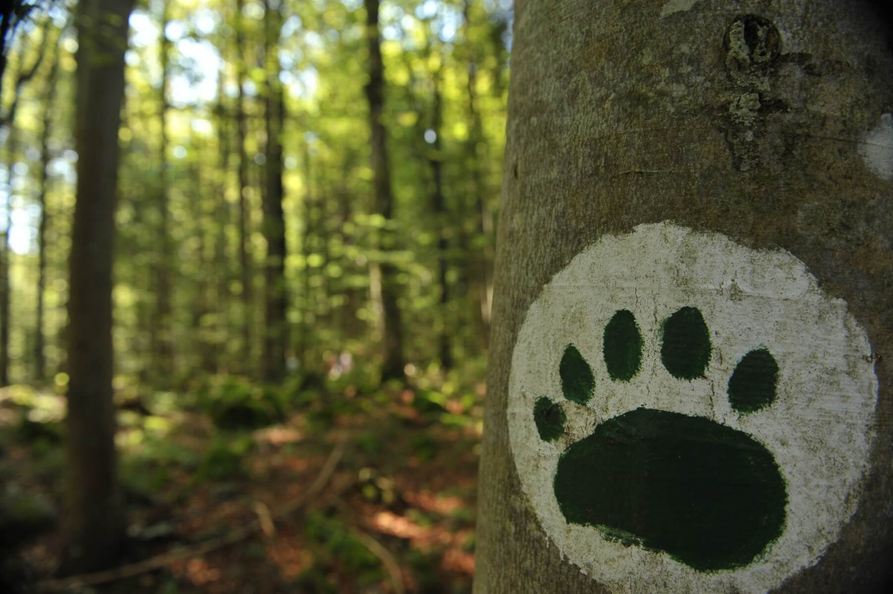 BV_20250802_0486_web